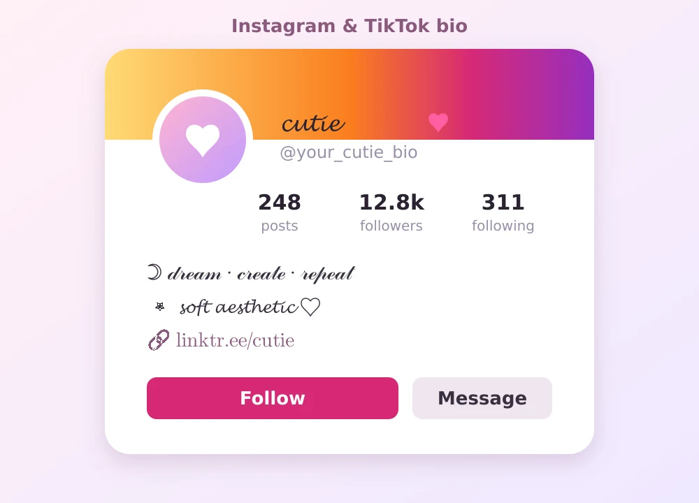 Instagram and TikTok profile bio using cute fonts for the username and bio text